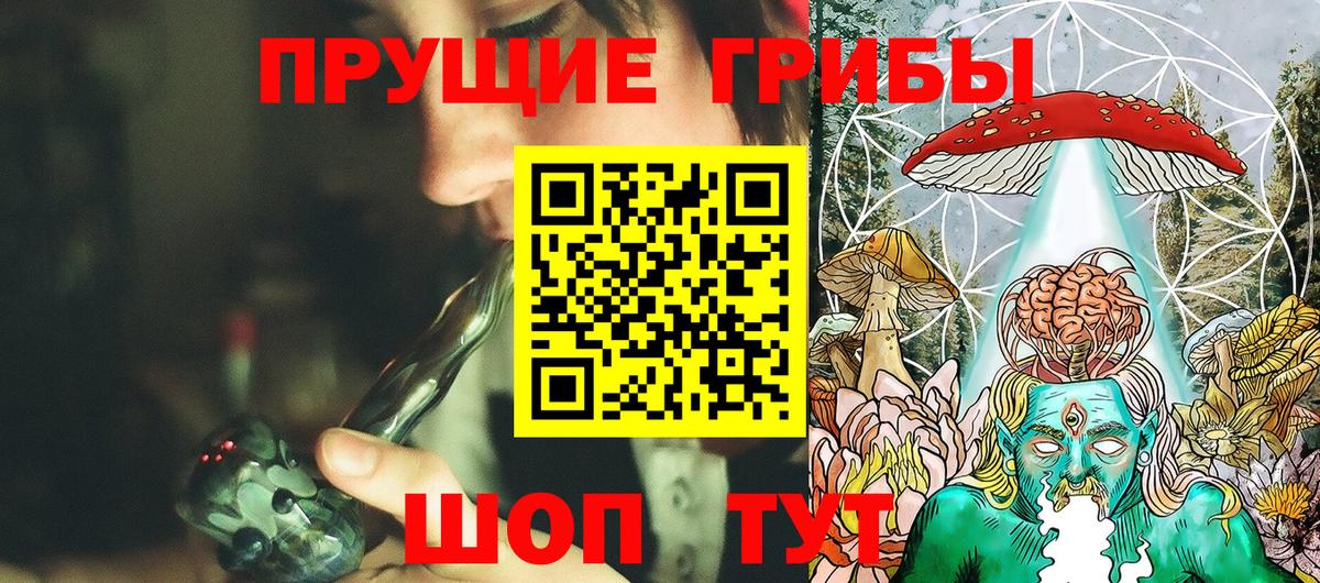 Псилоцибиновые грибы GOLDEN TEACHER Каспийск